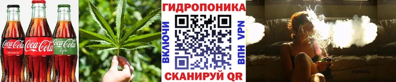 Canna-Cookies конопля  где можно купить   Новотитаровская 