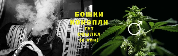 ПСИЛОЦИБИНОВЫЕ ГРИБЫ Алексеевка