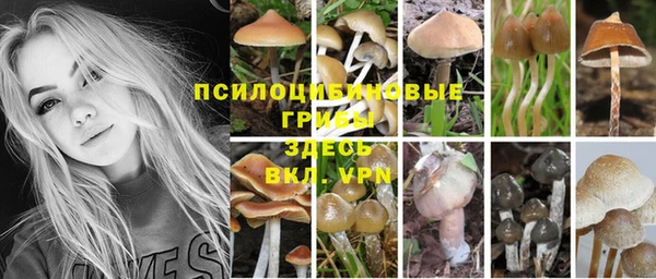 мяу мяу кристалл Краснослободск