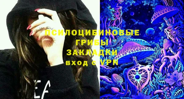 гидра Зеленокумск