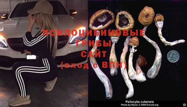 a pvp Абдулино