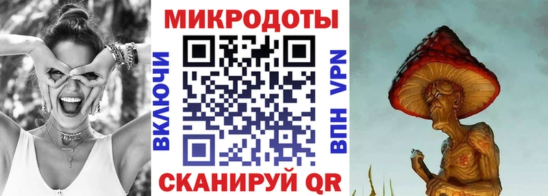 Галлюциногенные грибы ЛСД  hydra онион  Новотитаровская  магазин продажи наркотиков 